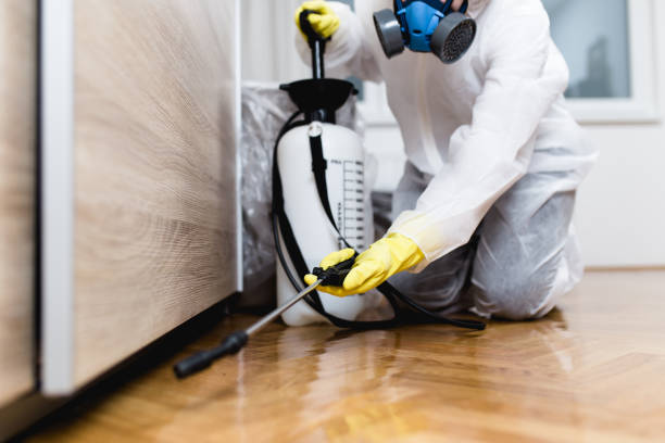 Best Pest Prevention Services  in Santa Clara, NM