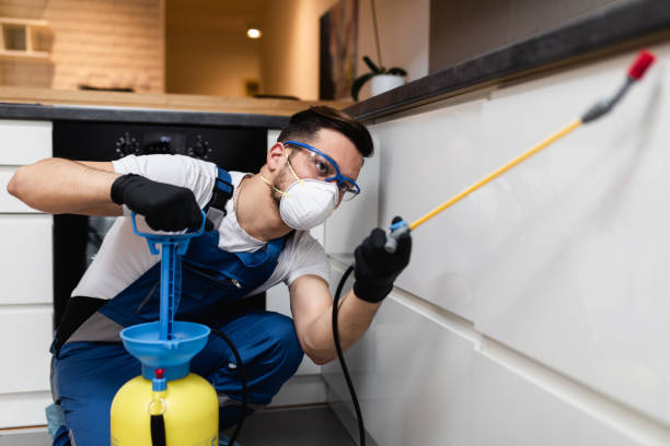 Best Rat Extermination Near Me  in Santa Clara, NM