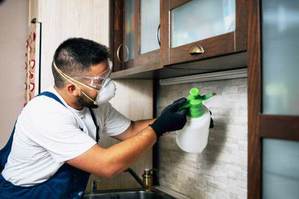 Best Affordable Pest Control Services  in Santa Clara, NM