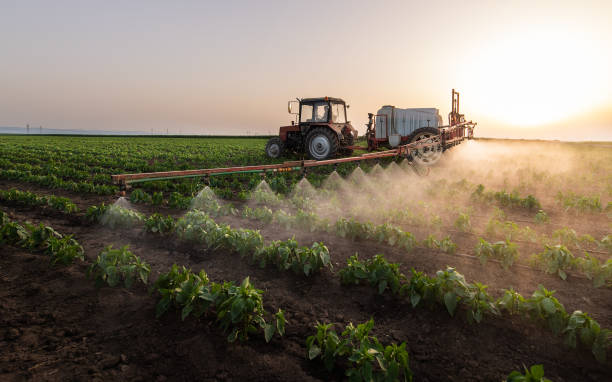 Best Best Pest Control Companies  in Santa Clara, NM
