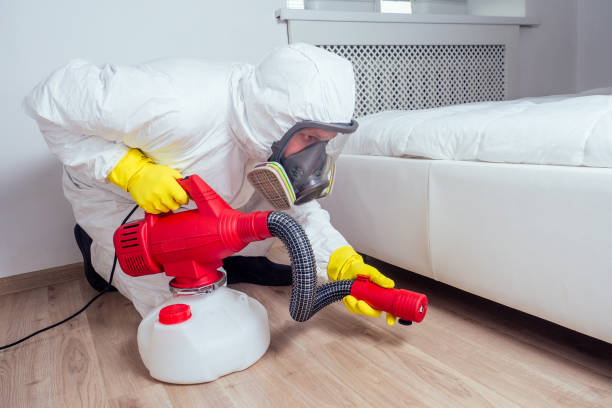 Best Termite Control Services  in Santa Clara, NM
