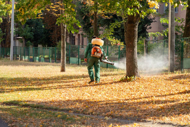 Best Local Pest Control Services  in Santa Clara, NM