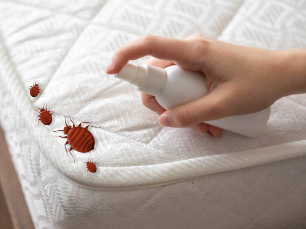 Best Pest Removal Services  in Santa Clara, NM