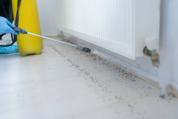 Best Commercial Pest Control Services  in Santa Clara, NM