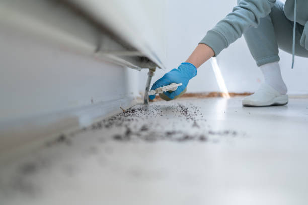 Best Residential Pest Control  in Santa Clara, NM