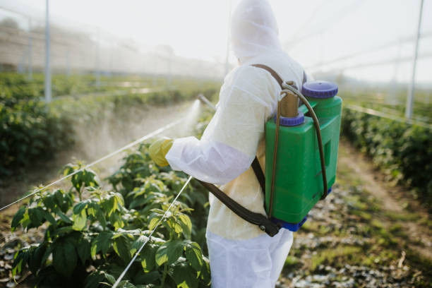 Professional Pest Control in Santa Clara, NM